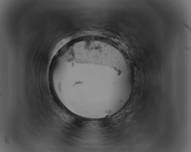 X0000096950104200802291106