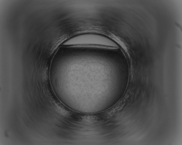 X0000096950105200802291106