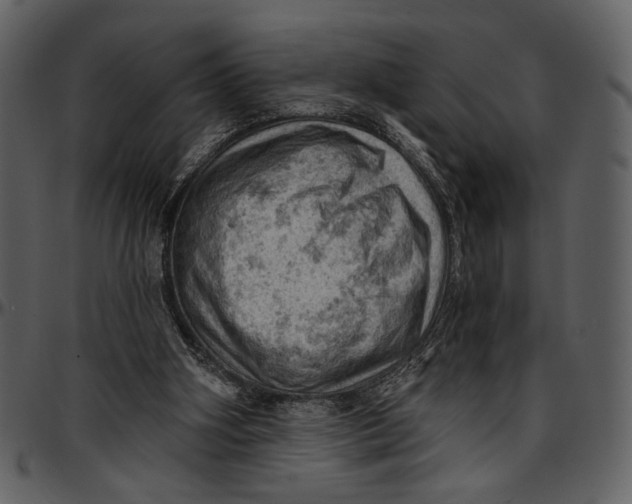 X0000096950106200802291106