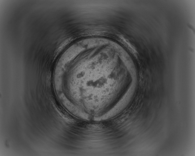 X0000096950107200802291106