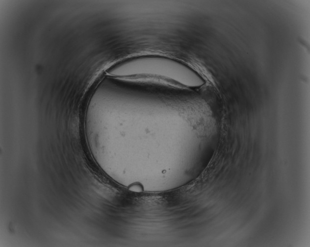 X0000096950108200802291106