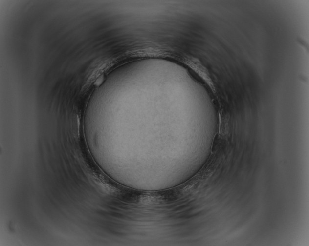 X0000096950109200802291106