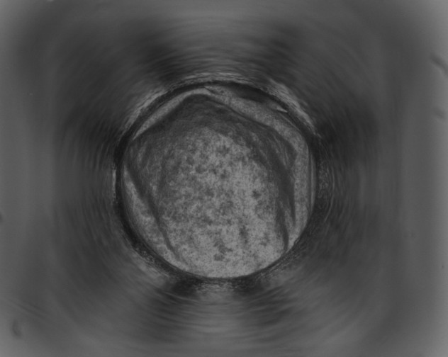X0000096950110200802291106