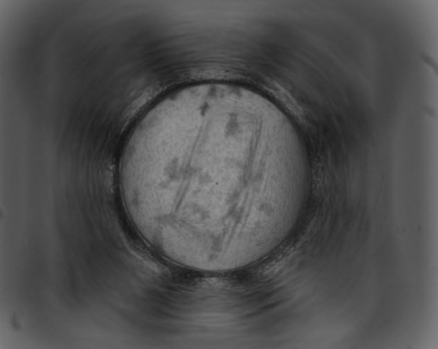 X0000096950111200802291106