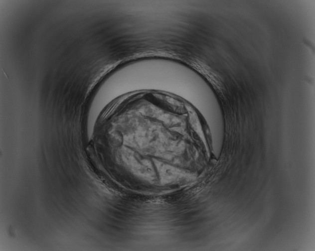X0000096950112200802291106