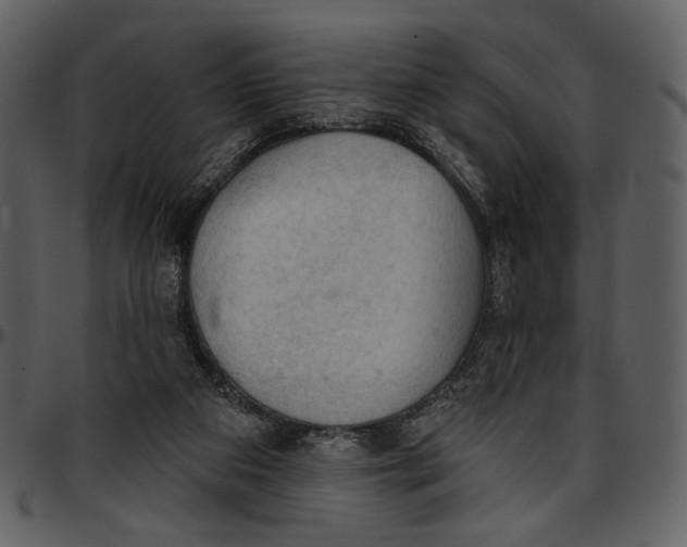X0000096950113200802291106