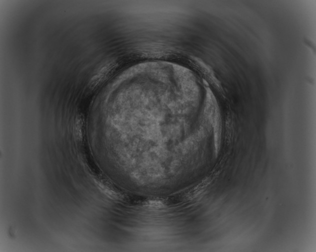 X0000096950114200802291106