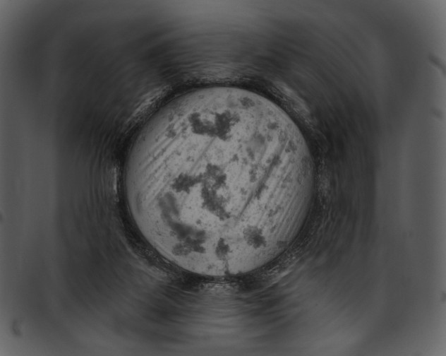 X0000096950115200802291106