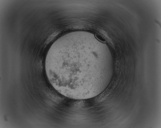 X0000096950116200802291106