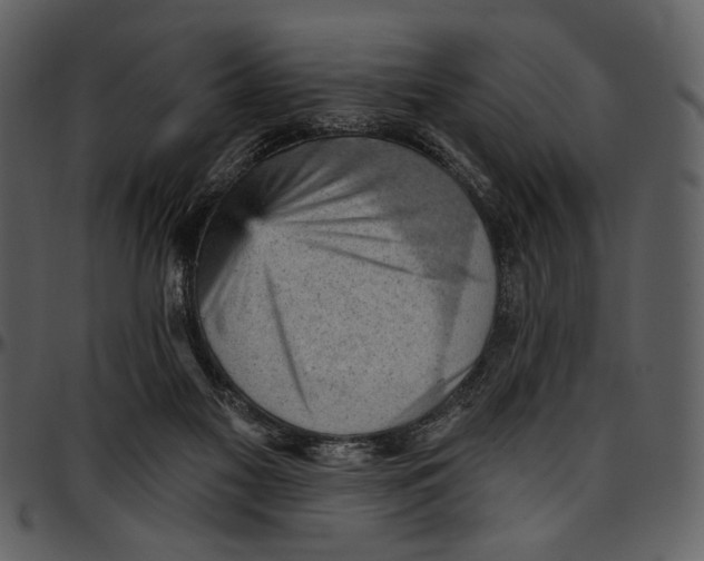 X0000096950117200802291106