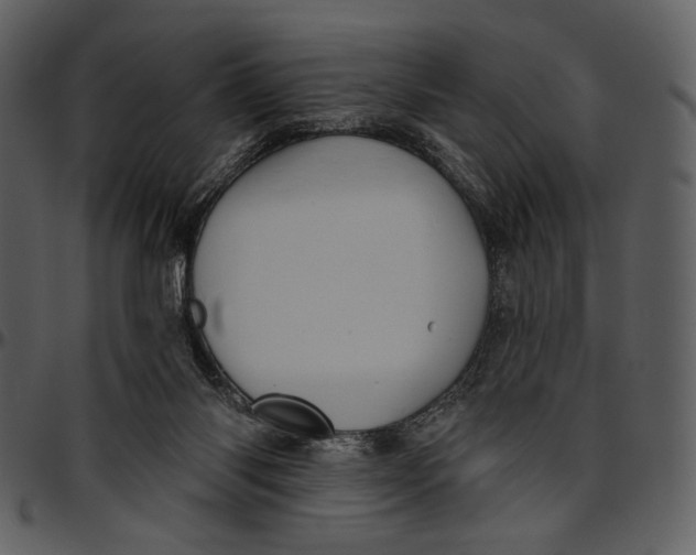 X0000096950118200802291106