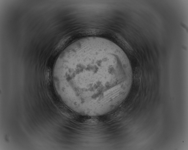 X0000096950119200802291106