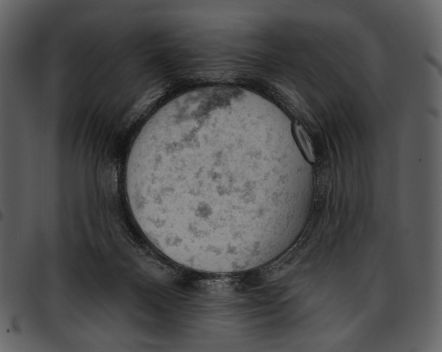 X0000096950120200802291106