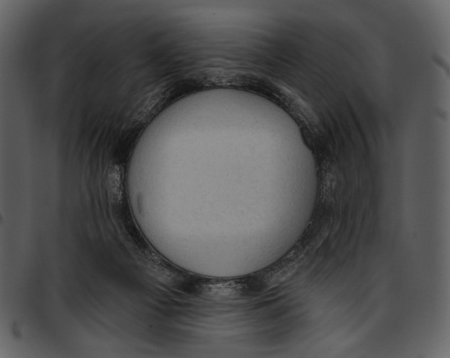 X0000096950121200802291106