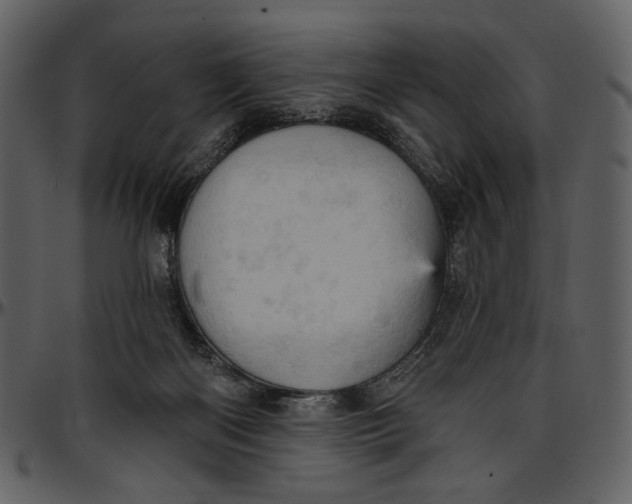 X0000096950122200802291106