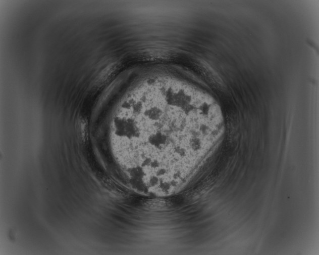X0000096950123200802291106