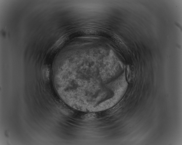X0000096950124200802291106
