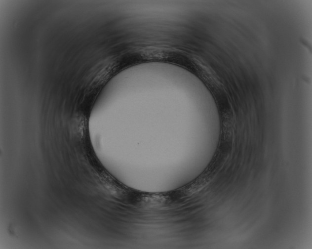 X0000096950125200802291106