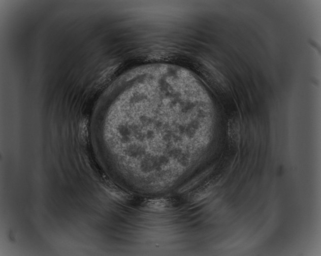 X0000096950127200802291106