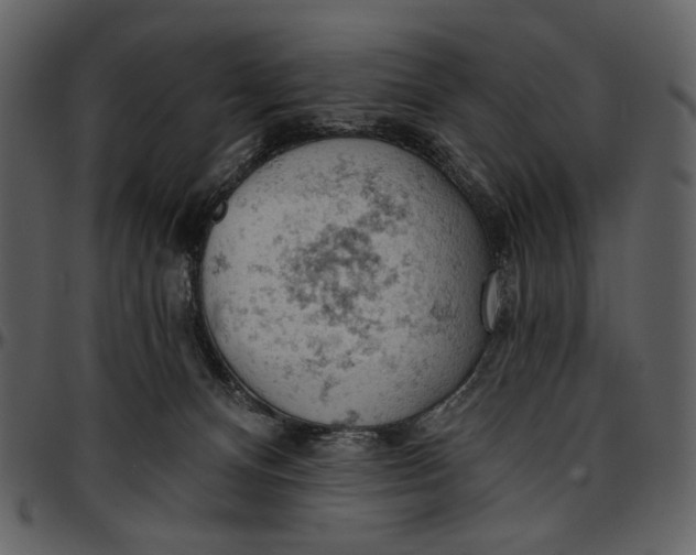 X0000096950128200802291106