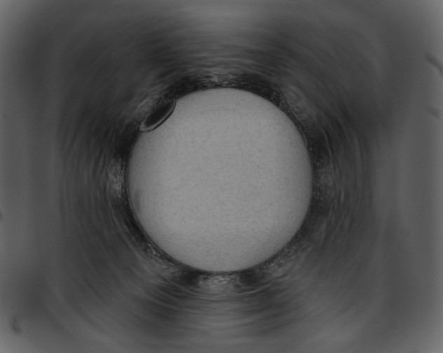 X0000096950129200802291106