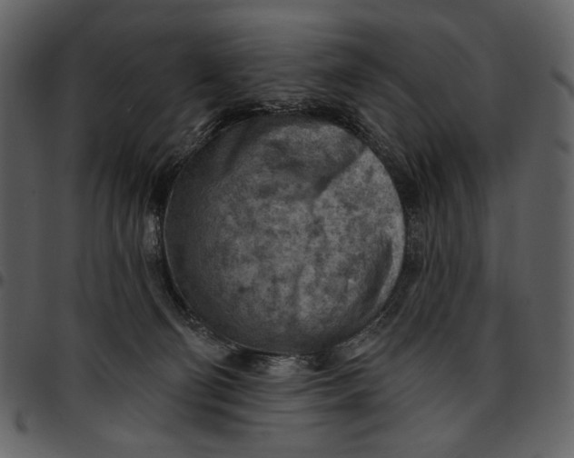 X0000096950130200802291106