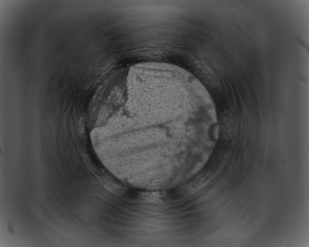 X0000096950131200802291106