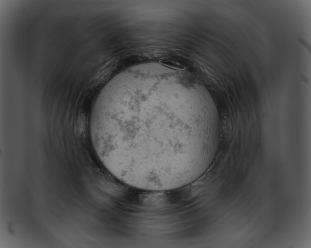 X0000096950132200802291106