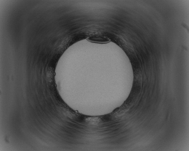 X0000096950133200802291106