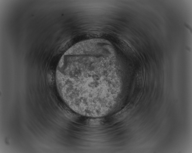 X0000096950134200802291105