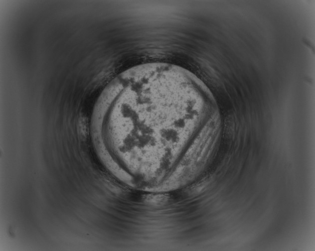 X0000096950135200802291105
