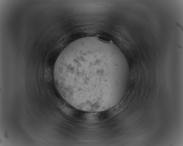 X0000096950136200802291105