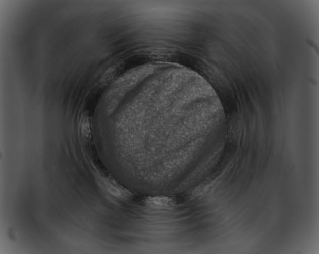 X0000096950137200802291105