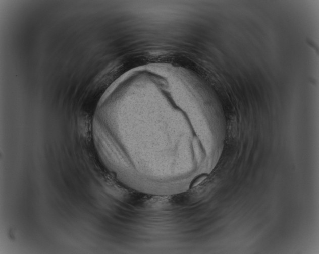 X0000096950138200802291105