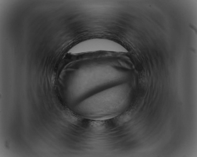 X0000096950139200802291105