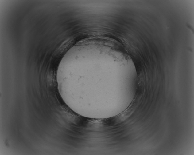 X0000096950140200802291105