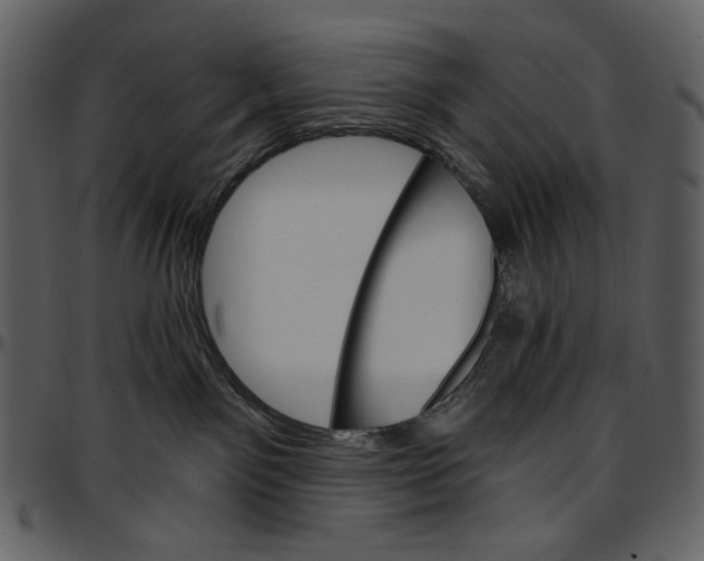 X0000096950141200802291105