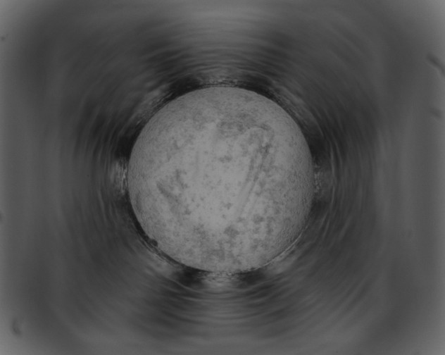 X0000096950142200802291105