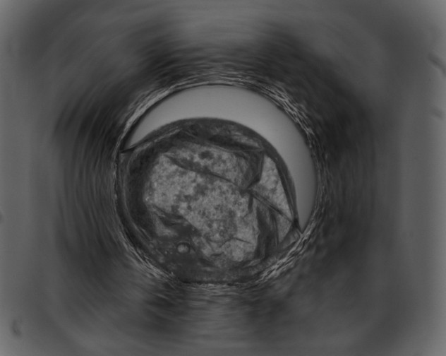 X0000096950146200802291105
