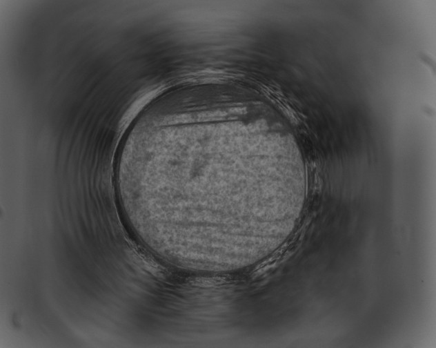 X0000096950147200802291105