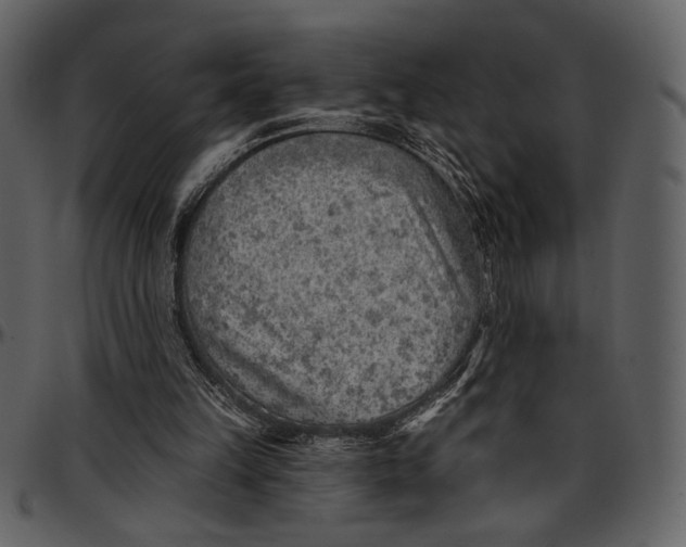 X0000096950149200802291105