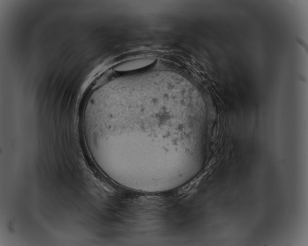 X0000096950150200802291105