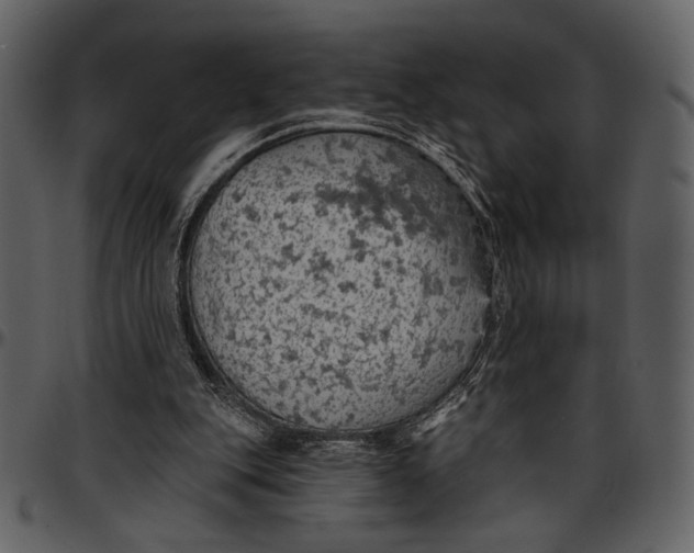 X0000096950151200802291105
