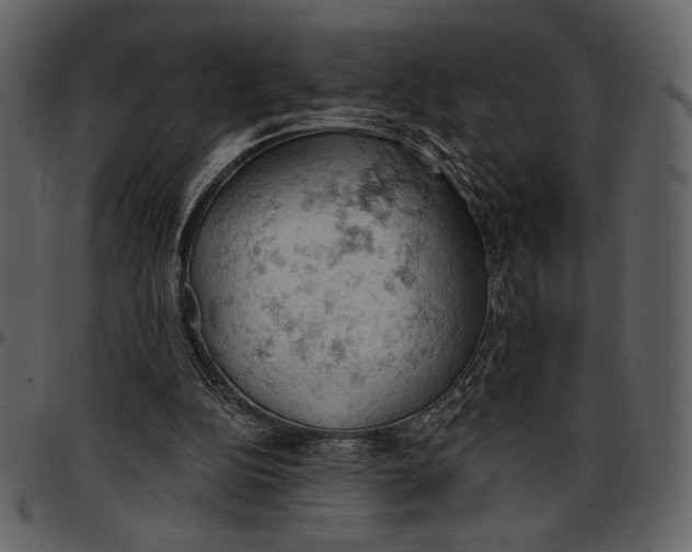 X0000096950152200802291105