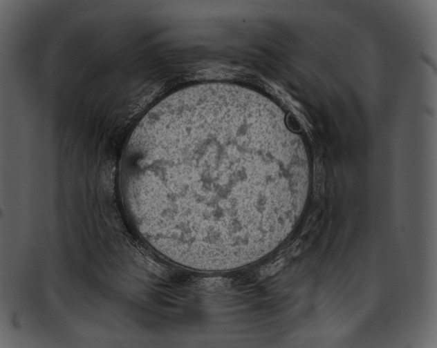 X0000096950153200802291105