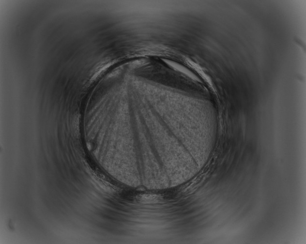 X0000096950154200802291105