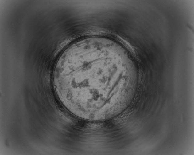X0000096950155200802291105