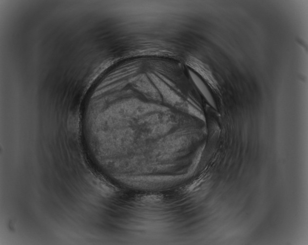X0000096950156200802291105