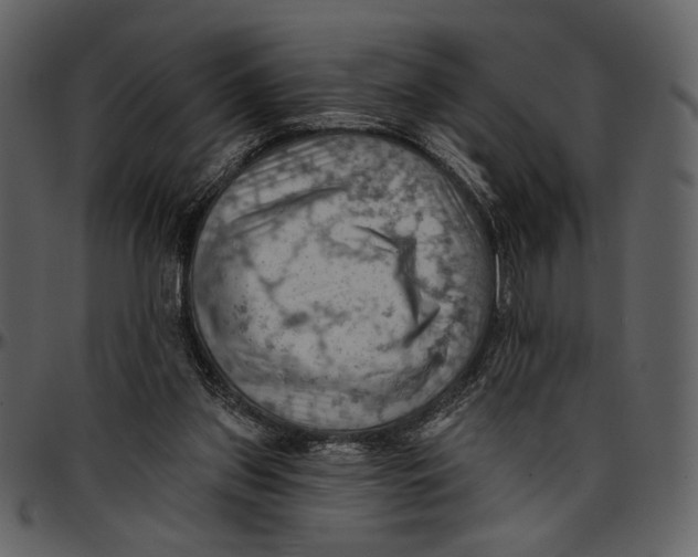 X0000096950157200802291105