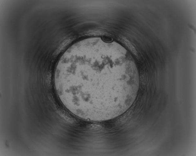 X0000096950159200802291105